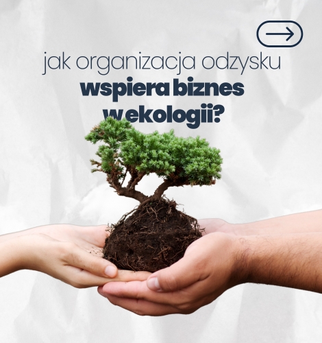 Jak organizacja odzysku wspiera biznes w ekologii?