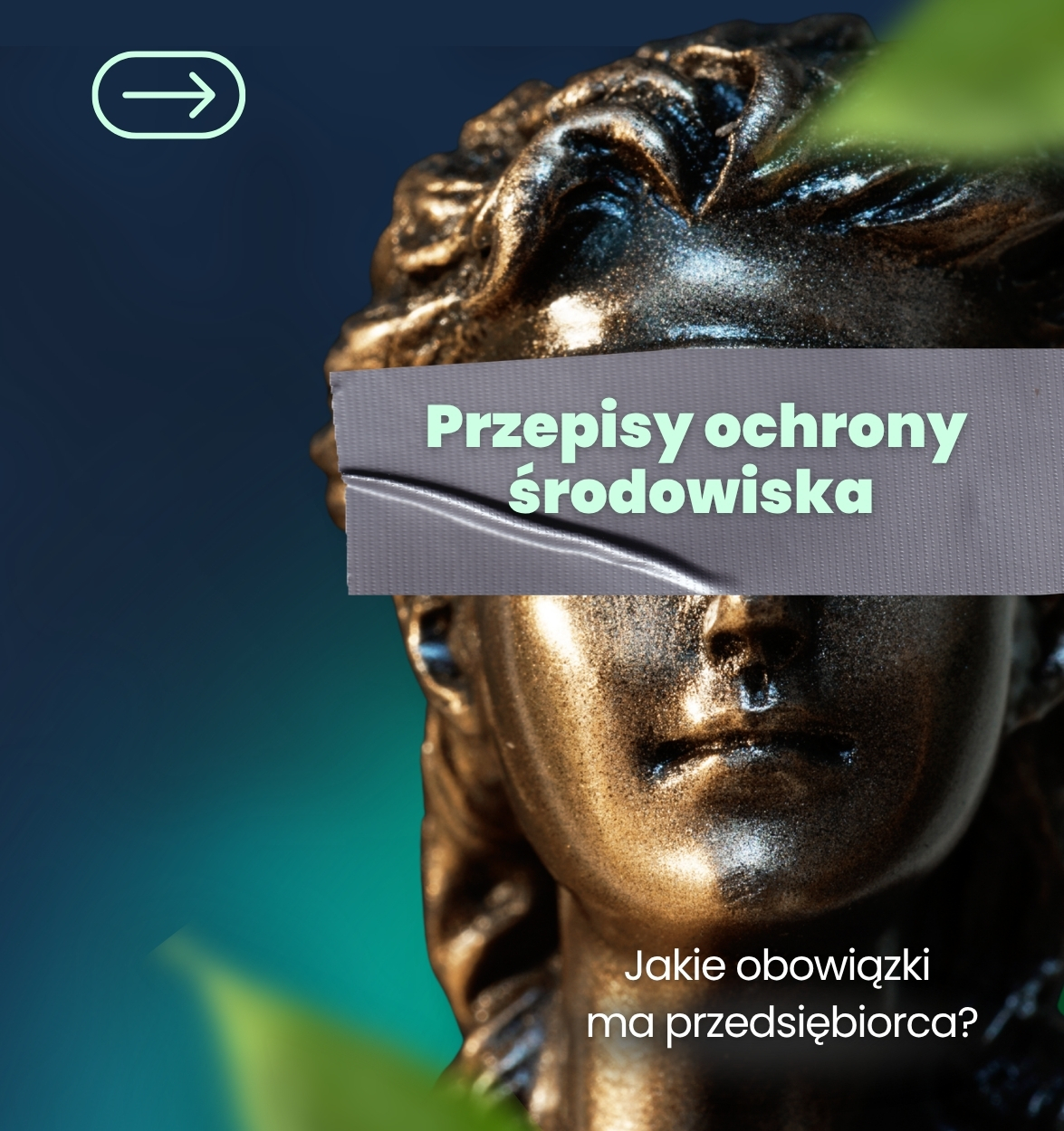 Przepisy ochrony środowiska w firmie: jakie obowiązki ma przedsiębiorca?