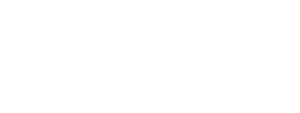 aeholding_logo white